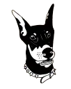 chiefdogshiny