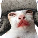 melonboy melonboy
