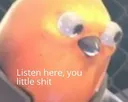 littleshit