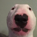 walter