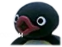 pinguooh