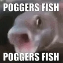 POGGERSFISH