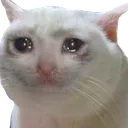 0_