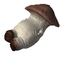 :shroomhead: Discord Emote