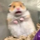 pa