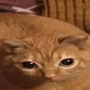 gwa