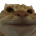 cattotf Discord Emoji