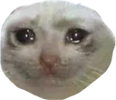 z_ultrasadcat
