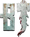 BT