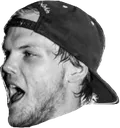 watt