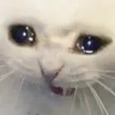 screm screm