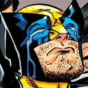 sadwolvie Discord Emoji