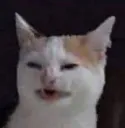 emoji_1 emoji_1