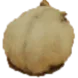 angyround