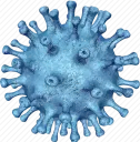 MiscVirus