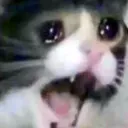 onooo