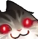 smugcat