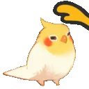 BirbPap BirbPap