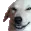 smuggosoccer