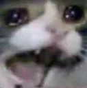 cry_cat