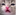 :kwot: