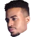 Rod