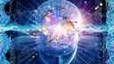 bigbrain