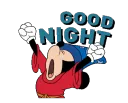 MickeyGoodNight