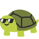 turtlecool