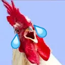 clucking_funny Discord Emoji