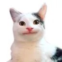 emoji_24