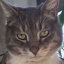 :BEbotinstare: Discord Emote