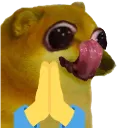 DorimeOhyess_2