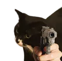 catgun