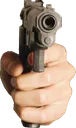 Gun
