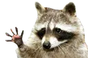 dontbanpls