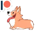 corgilove