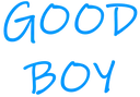 GoodBoy