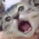 Screm2 Discord Emoji