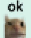 swagok Discord emoji