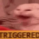 SCshakeTRIGGERD2