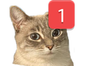 Catping