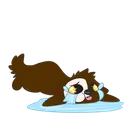 cri cri