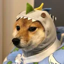 ShibaDino