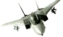 F14