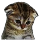 FT_Sadcat Discord emoji