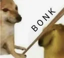 bonk