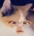 waow