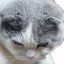 dallieangry Discord Emoji