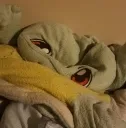 Tatu_rekt_lg